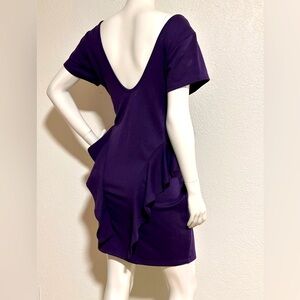 Stylish Dress Purple Flattering Ruffle Detail